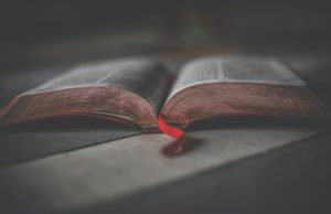 Evaluarea Națională 2020: Ce cuprinde programa de examen la Română