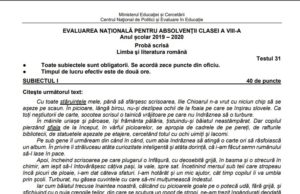 Evaluare Națională 2020: Noi teste de antrenament – Română și Matematică – setul 7