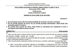 Barem Română Evaluare Națională 2020. Punctajul pentru subiectele de la limba Română a fost publicat