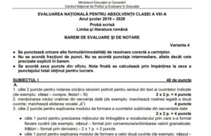 Evaluare Națională 2020. Subiectele și baremul de la Română – etapa specială