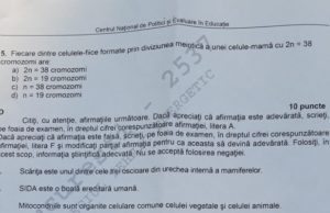 Barem Biologie BAC 2020 Cum se punctează subiectele de la biologie