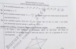 Profesoara Roxana Goga a rezolvat problemele de la Matematică pentru nota 10/ „Problema de geometrie este foarte frumoasă”