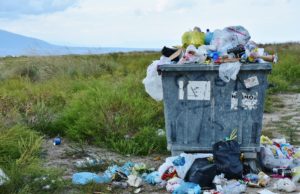 USAMV Cluj coordonează un studiu despre risipa alimentară din România, Macedonia de Nord și Moldova