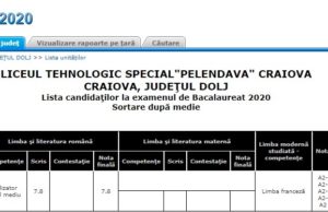 BAC 2020. Un liceu tehnologic din Craiova are promovare 100%, dar a avut un singur elev/ Lista liceelor cu cele mai mari procente de promovare din județele Botoșani, Dolj, Sibiu și Olt