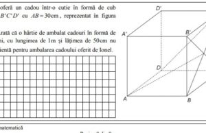 Ovidiu Bădescu, despre noile modele de la Matematică: Sunt cu structura testelor PISA, dar nu înseamnă că sunt PISA