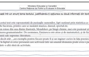 VIDEO Evaluare Națională 2021. Cum a rezolvat o profesoară noile modele de la Română