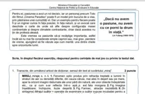 Evaluare 2021: Cum vor arăta subiectele de la Română/ Vezi în text modele de subiecte