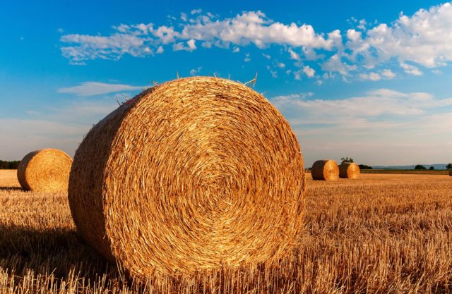 licee agricole