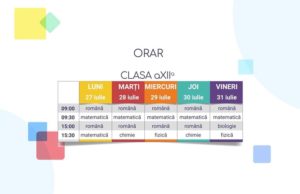Reîncepe Teleșcoala pentru elevii care au picat Bacalaureatul/ Programul din 27 iulie