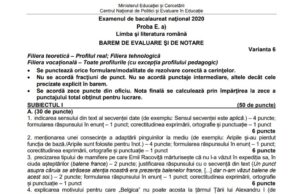 BAC 2020. Bareme la Română/ Cum se notau subiectele primite de elevi