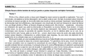 Evaluare Națională 2021. Cum arată noile teste de antrenament