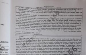 Evaluare Națională 2021. Profesoară de limba română: Subiectul al doilea e greu