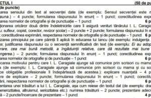 BAC 2021. Un profesor de română a rezolvat subiectele. Ce trebuia să scrii pentru o notă mare
