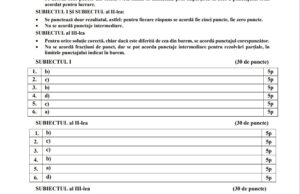 Barem Matematică. Cum se punctează problemele de la simularea Evaluării Naționale 2022