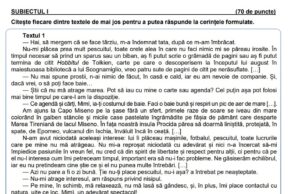 Evaluare Națională 2022 Română: Cele 5 de teste de antrenament pentru examen